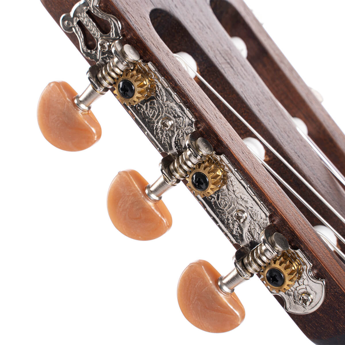 Guitarra Cort Electroclásica AC120CE OP (TAPA SÓLIDA)