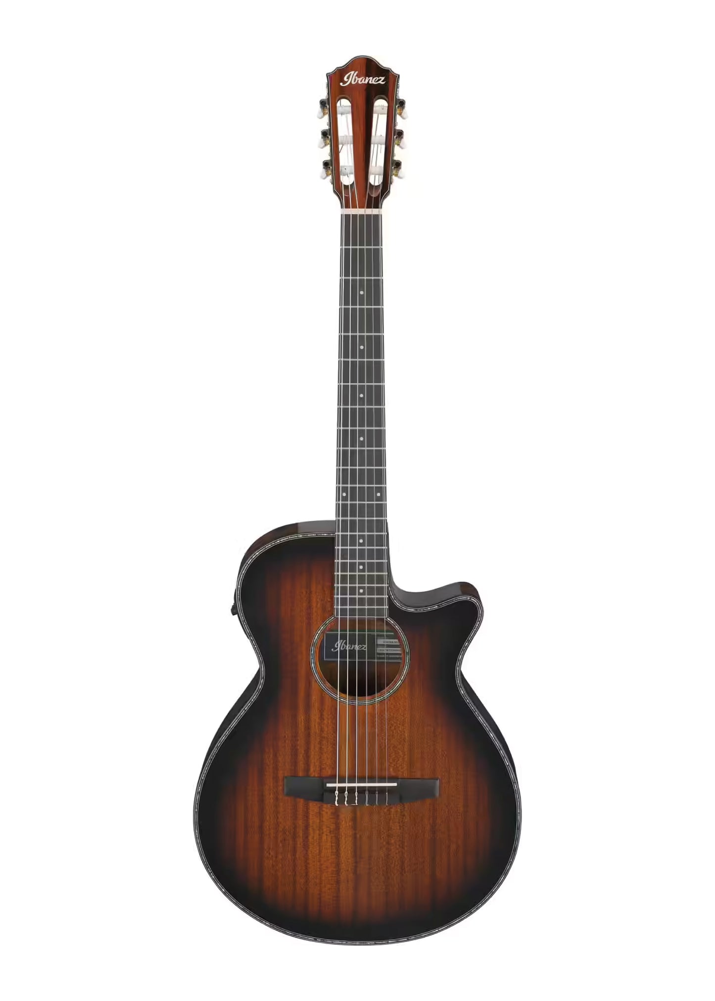Guitarra Ibanez Electroclásica AEG74N-MHS