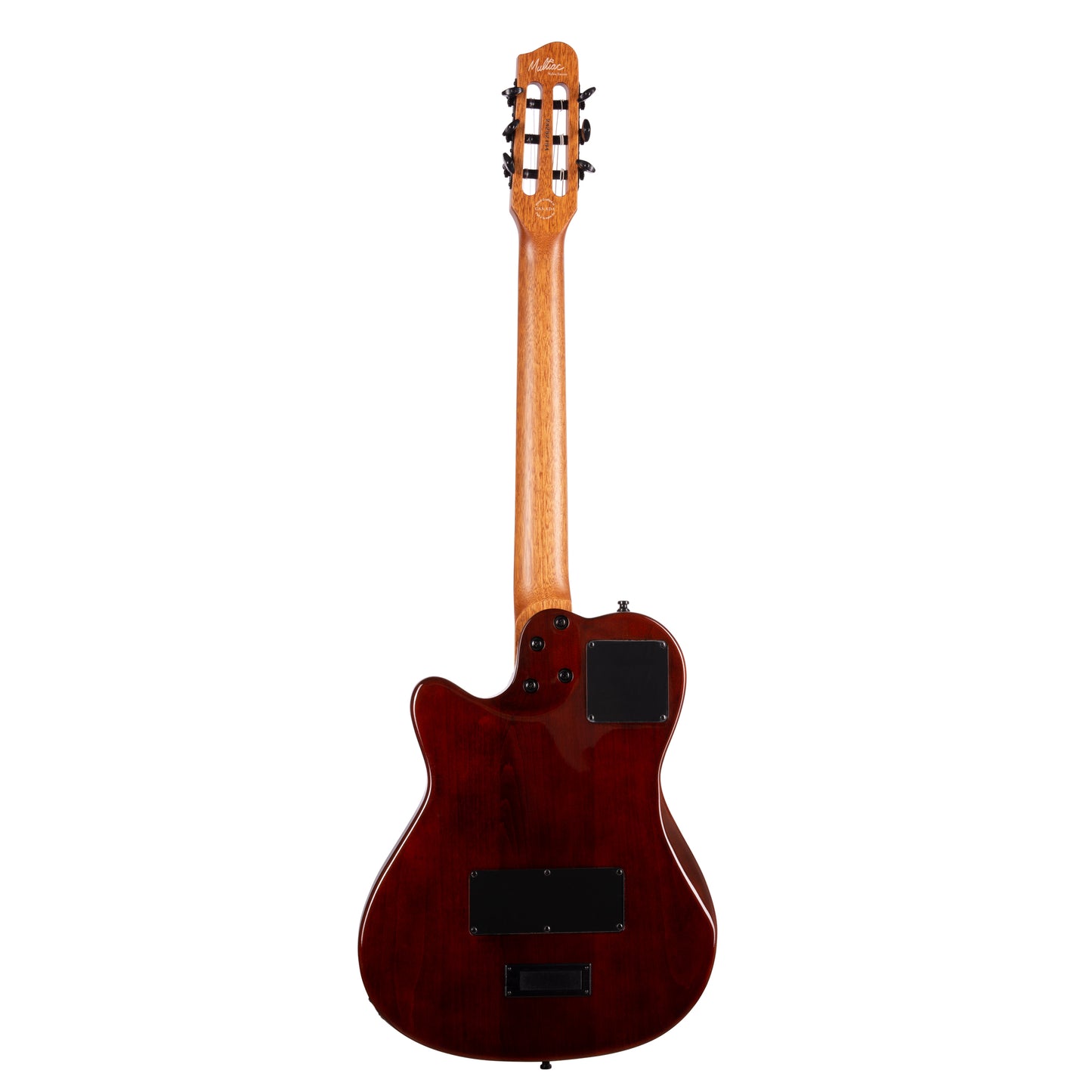 Godin Multiac Mundial Kanyon Burst 052417