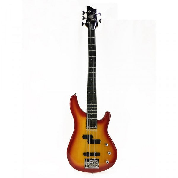 Bajo eléctrico Hendrix 5 cuerdas BH-EBS200-24-5TRB