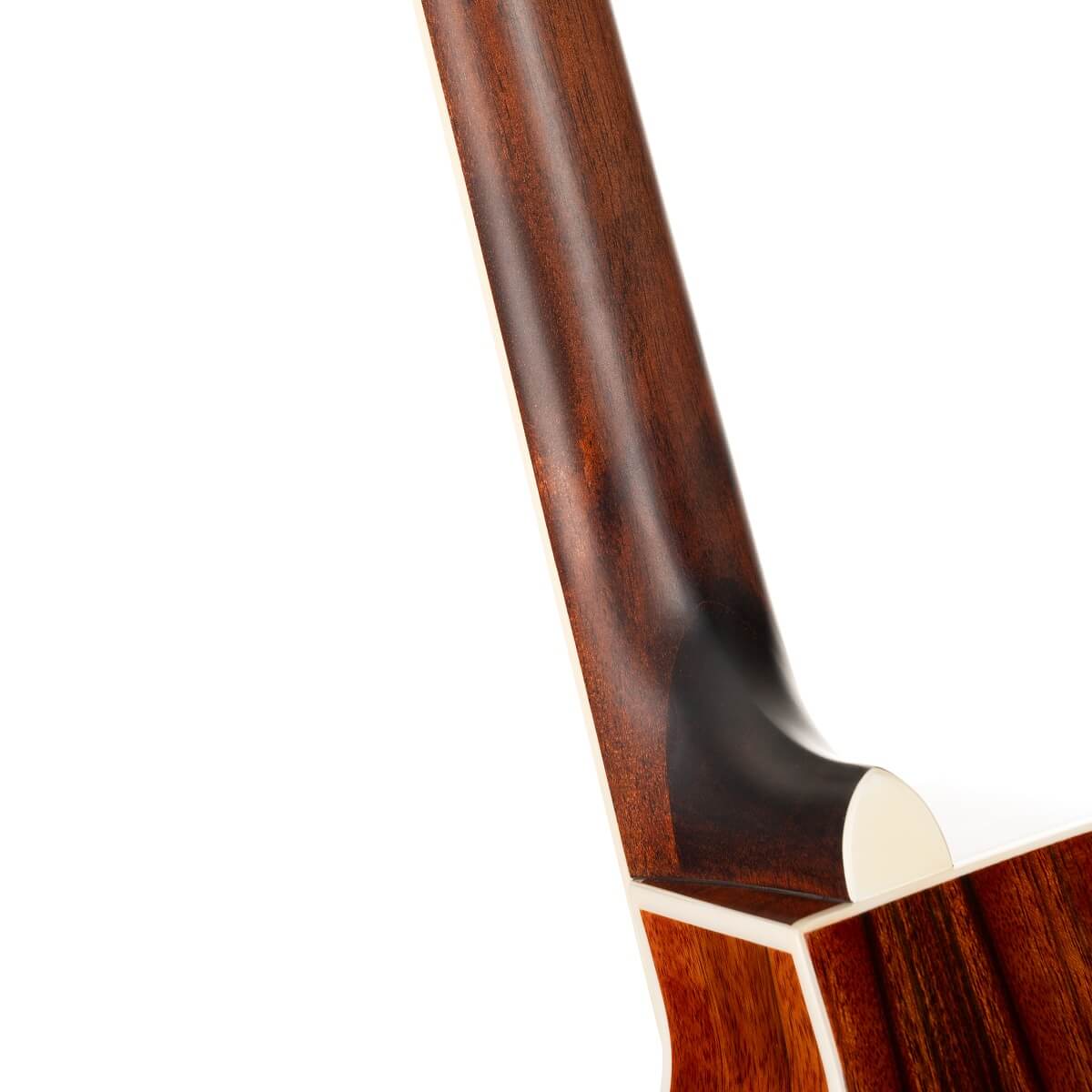 Guitarra Cort Electroacústica GA DAO NAT