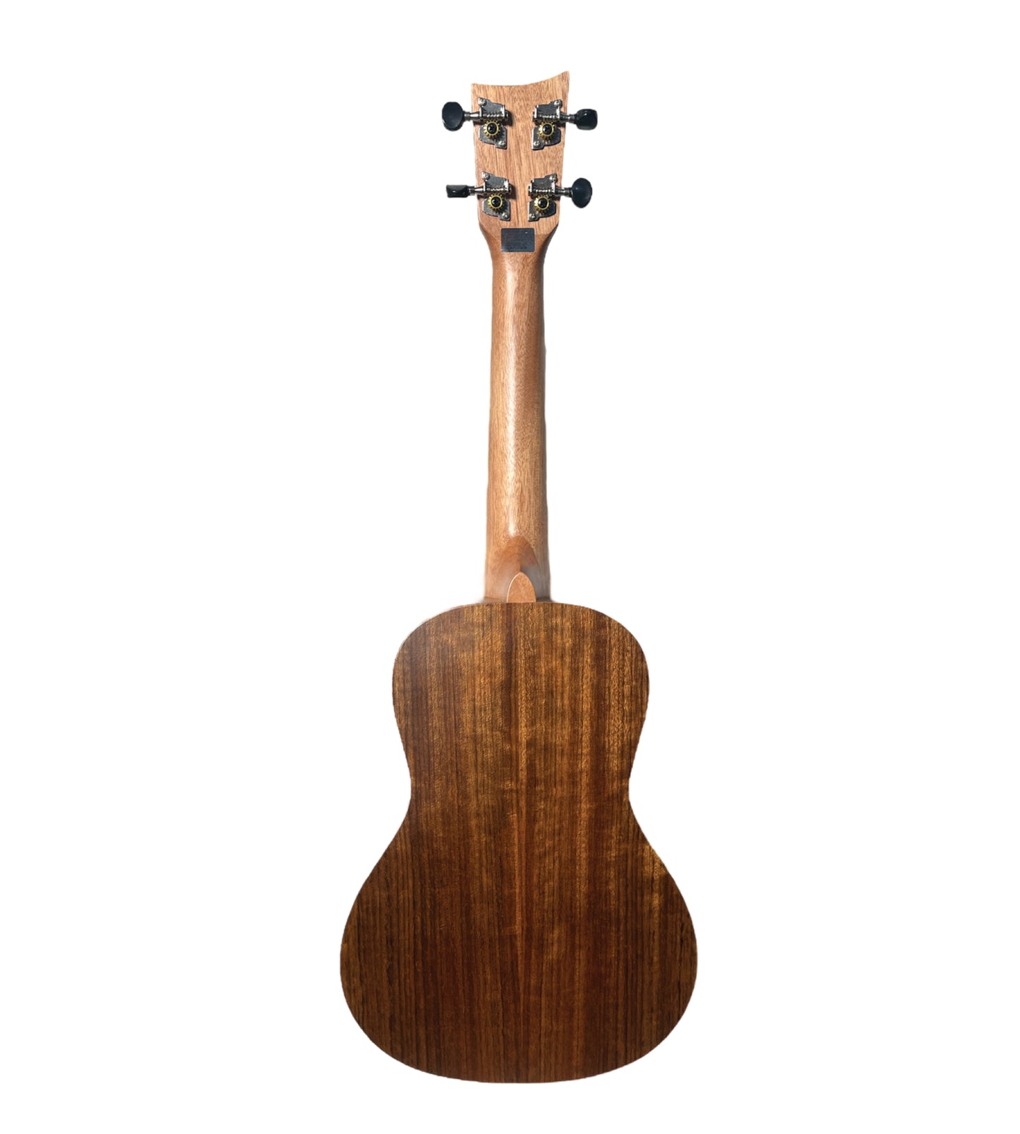 Ukulele Concierto Ashton uke500CBW