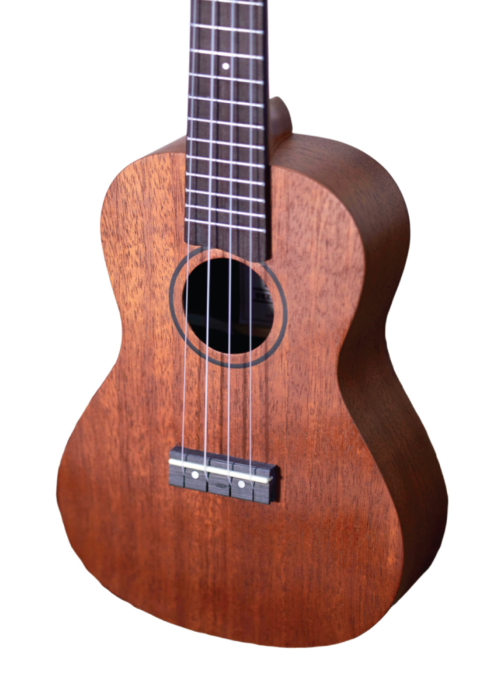 Ukulele Concierto Ashton uke240MH