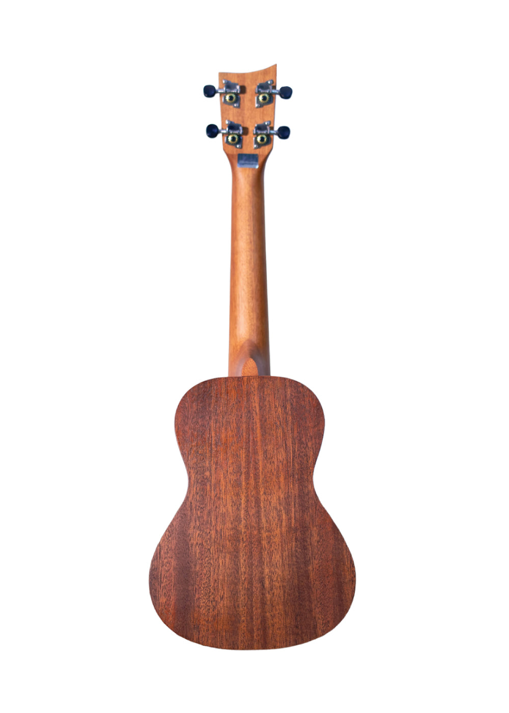 Ukulele Concierto Ashton uke240MH